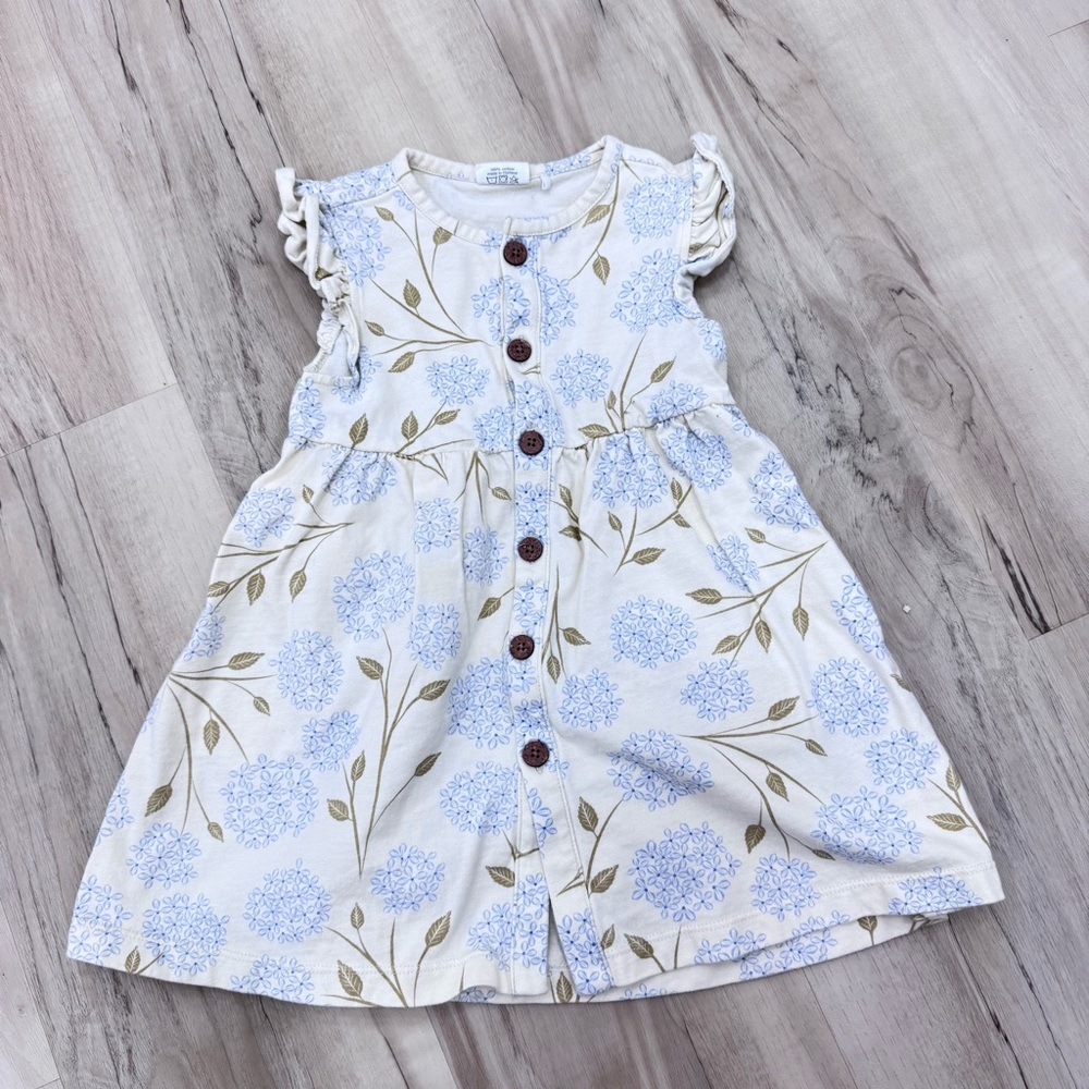 Hydrangea ruffle Sleeve blue cream button front 100% cotton dress Sz 2Y